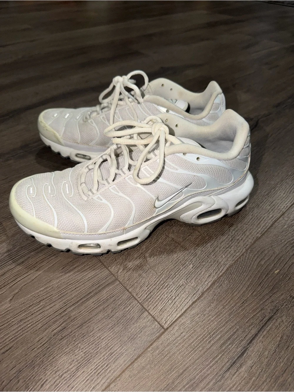 Nike Men’s Air Max tn Sneakers